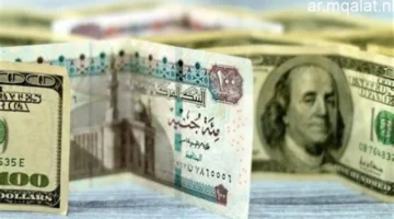 تحديث مهم.. سعر الدولار أمام الجنيه المصري اليوم بشركات الصرافة